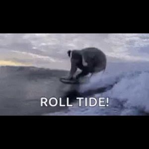 Meet your Posher, Angie